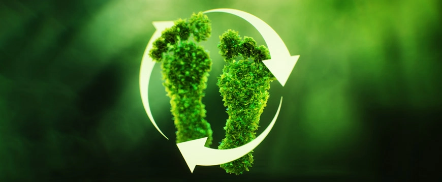 immagine Carbon footprint