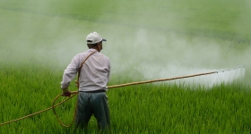 immagine Corso di Prodotti fitosanitari e il nuovo Piano di Azione Nazionale (PAN)