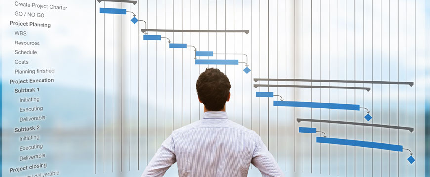 immagine Project Management - Programmazione e definizione risorse
